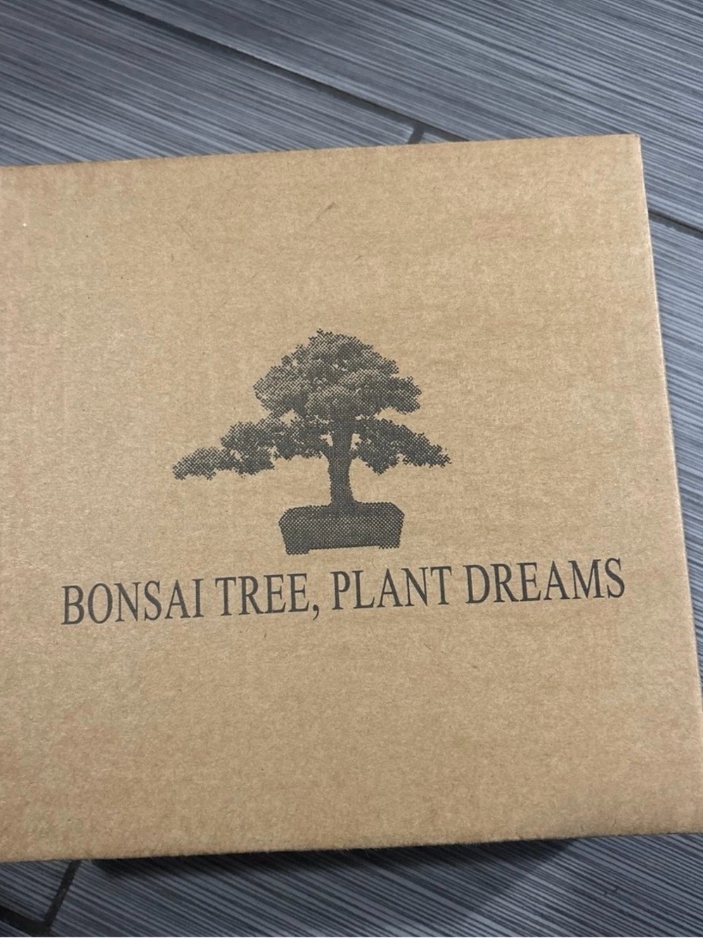Bonsai Tree Starter Kit for Beginners - Indoor Live Plant Gardening Adult Craft